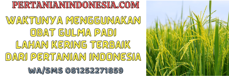 jual,murah,terjangkau,toko pertanian terdekat,pertanian indonesia